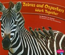 Zebras and Oxpeckers Work Together (Pebble Plus: Animals Working Together)