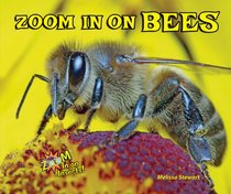 Zoom in on Bees (Zoom in on Insects!)