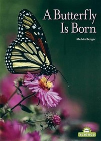 A Butterfly is Born