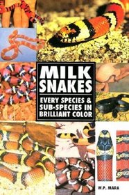 Milk Snakes : Every Species and Sub-Species in Brilliant Color