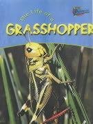 The Life of a Grasshopper (Raintree perspectives)