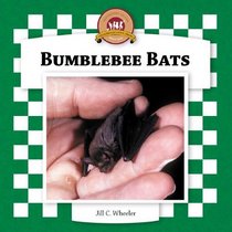 Bumblebee Bats (Bats Set II)