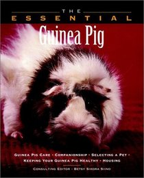 The Essential Guinea Pig (The Essential Guides)