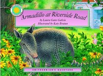 Armadillo at Riverside Road