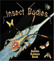 Insect Bodies (The World of Insects)