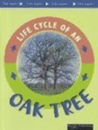 Oak Tree (Life Cycles)