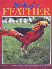 Birds of a Feather (Literacy 2000)