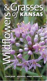 Wildflowers And Grasses Of Kansas: A Field Guide