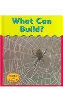 What Can Build (Heinemann Read and Learn)