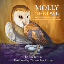 Molly the Owl: The True Story of a Common Barn Owl That Ends Up Being Not So Common After All