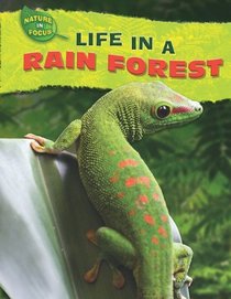Life in a Rain Forest (Nature in Focus)