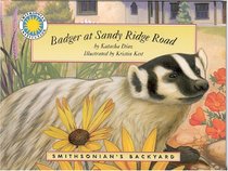 Badger At Sandy Ridge Road (Smithsonian's Backyard) (Smithsonian's Backyard)