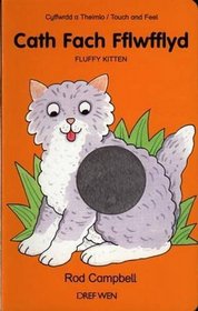 Cath Fach Fflwfflyd: Fluffy Kitten (Welsh Edition)