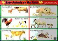 Baby Animals (Book Chart)