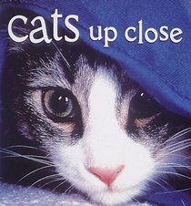 Cats Up Close (Tiny Folios (Hardcover))