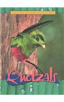 Quetzals (Animals of the Rain Forest)