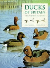 Ducks of Britain and the Northern Hemisphere