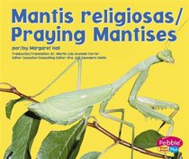 Praying Mantises (Pebble Plus)