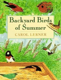Backyard Birds of Summer