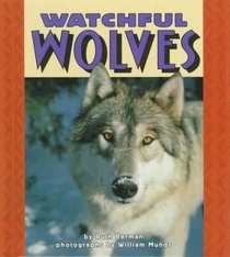 Watchful Wolves (Pull Ahead Books)