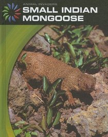 Small Indian Mongoose (Animal Invaders)