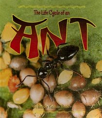 The Life Cycle of an Ant (The Life Cycle)