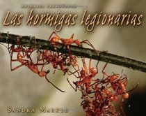 Las Hormigas Legionarias / Army Ants (Animales Carroneros / Animal Scavengers) (Spanish Edition)