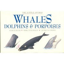 Whales, Dolphins, and Porpoises (Little Guides (San Francisco, Calif.).)
