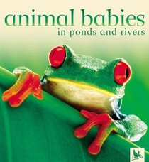 Animal Babies in Ponds and Rivers (Animal Babies)
