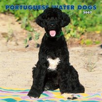 Portuguese Water Dogs 2007 Calendar
