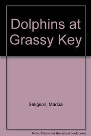 Dolphins at Grassy Key