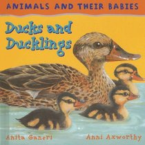 Ducks and Ducklings (Animals and Their Babies)