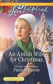 An Amish Wife for Christmas (North Country Amish, Bk 1) (Love Inspired, No 1171) (Larger Print)