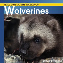 Welcome to the World of Wolverines (Welcome to the World Series)