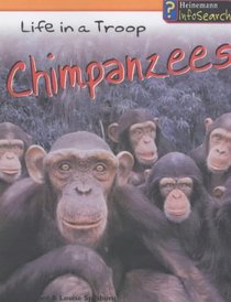 Chimpanzees Life in a Troop (Animal Groups)