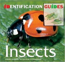 Insects (Identification Guide)