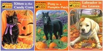 Animal Ark Autumn 3 Pack: Kitten in the Candy Corn/Pony in a Pumpkin Patch/Labrador in the Leaves (Animal Ark)