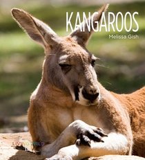 Kangaroos (Living Wild)