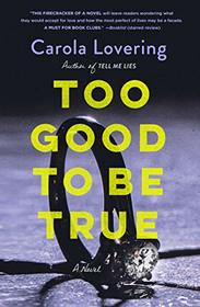 Too Good to Be True: A Novel