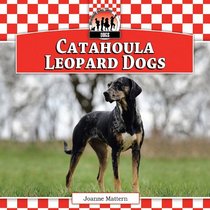 Catahoula Leopard Dogs