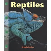 Reptiles (Newbridge discovery links)