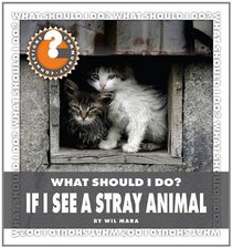 What Should I Do?: If I See a Stray Animal (Community Connections)