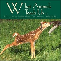 What Animals Teach Us: Life's Lessons Learned From the Animals Around Us