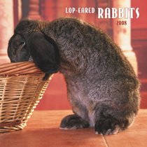 Lop-Eared Rabbits 2008 Square Wall Calendar (Multilingual Edition)