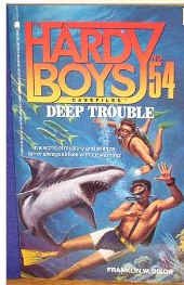 Deep Trouble (Hardy Boys Casefiles, No 54)