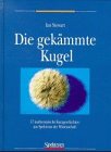 Die gekmmte Kugel: 17 mathematische Kurzgeschichten aus Spektrum der Wissenschaft (German Edition)