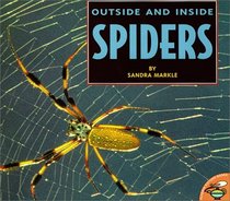 Outside And Inside Spiders (Outside Inside)