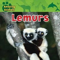 Lemurs (Amazing Animals)