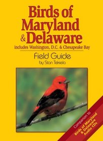 Birds Of Maryland & Delaware Field Guide: Includes Washington Dc & Chesapeake Bay
