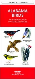 Alabama Birds (Pocket Naturalist)